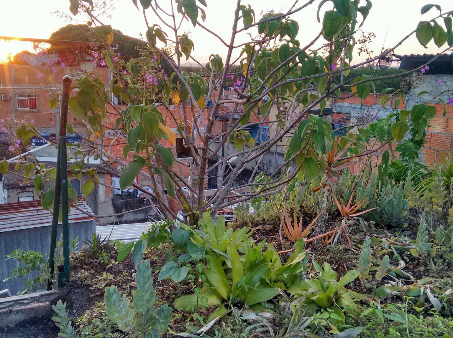 Favela Rooftops Recycling to Stop Landslides: 2nd Sustainable Favela Network Exchange ...