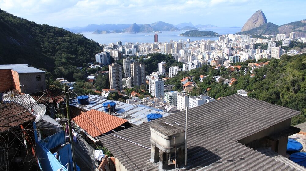 Mixed Race Brazilian Favela, Heads Up Landscape Contractors Joao Pessoa