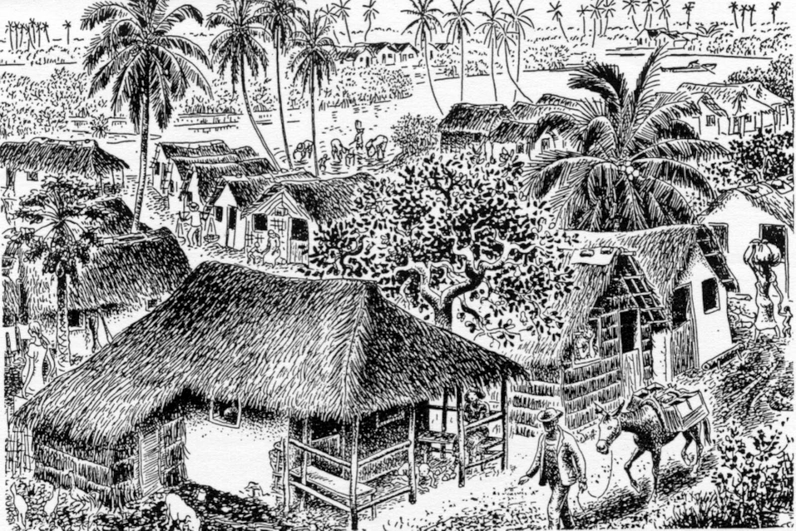 Picture of the Palmares Quilombo. The so-called Quilombos or Mocambos were the first experiences of freedom for Blacks in Brazil's colonial times.