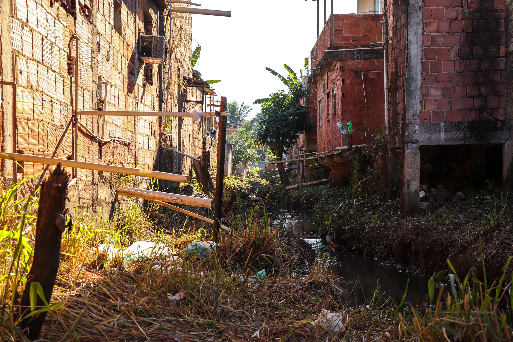 Engenho homes that back up onto the community's open air sewage canal. Photo: Alexandre Cerqueira