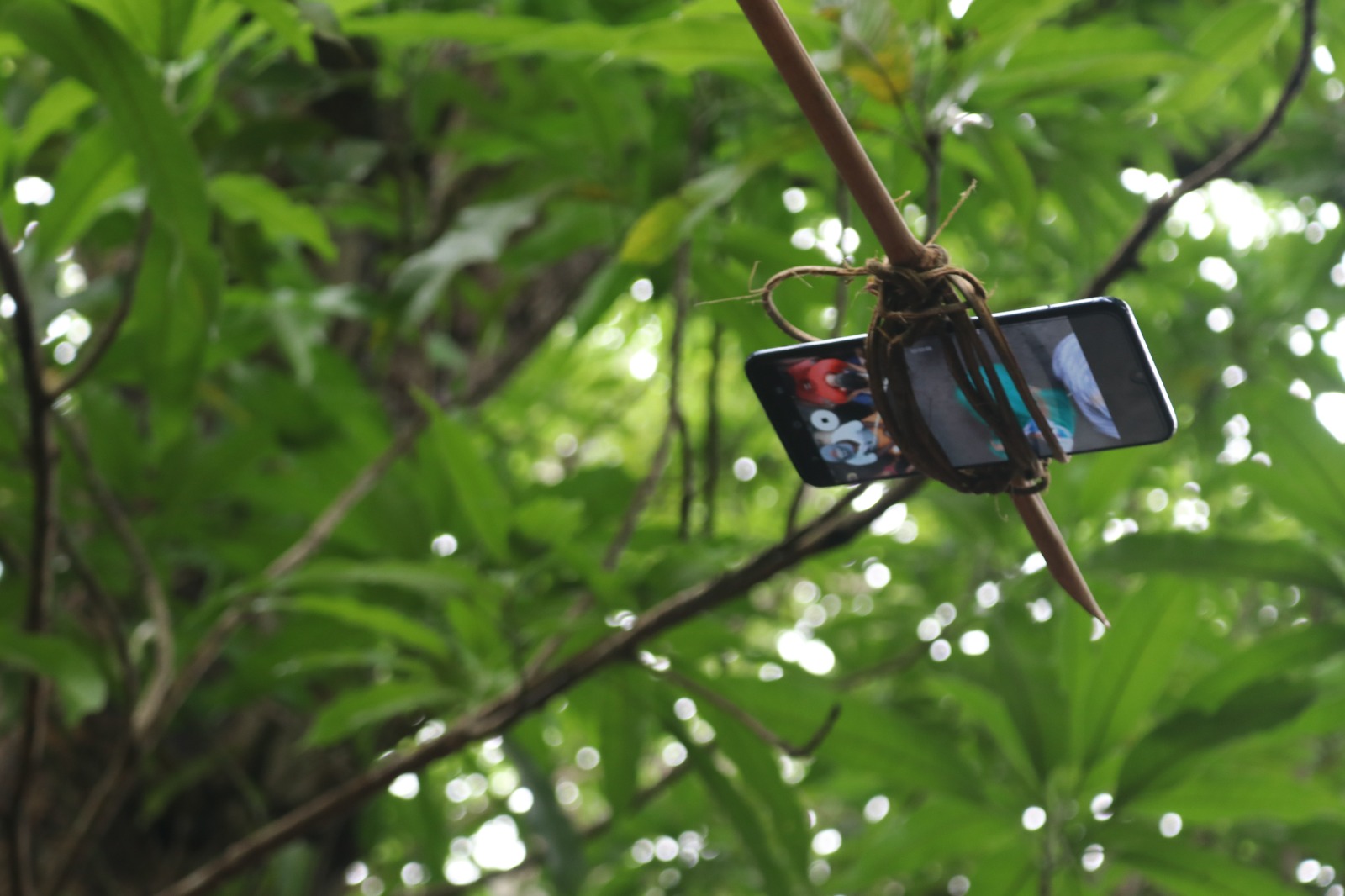 The bamboo-drone has a smartphone attached to the end of a curved bamboo pole and captures images from above like a drone. Photo: Quilombo TV