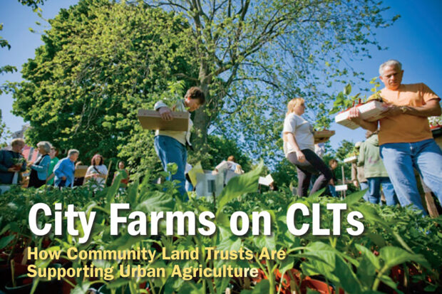 Cover of the report “City Farms on CLTs: How Community Land Trusts Are Supporting Urban Agriculture”. Photo: Jori Ketten