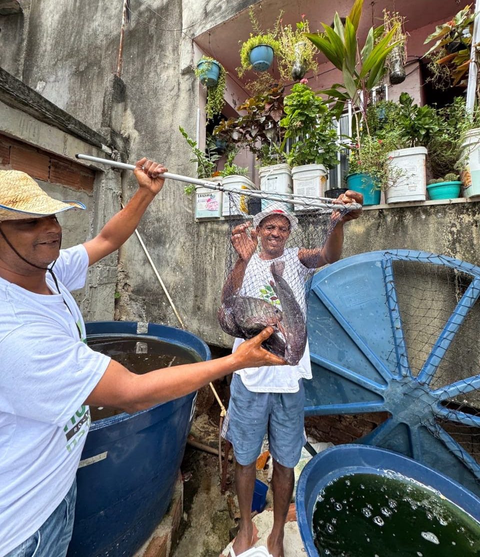 Rocinha residents collect fish raised in water tanks on their rooftops for their own consumption. Photo: Lucas Euller
