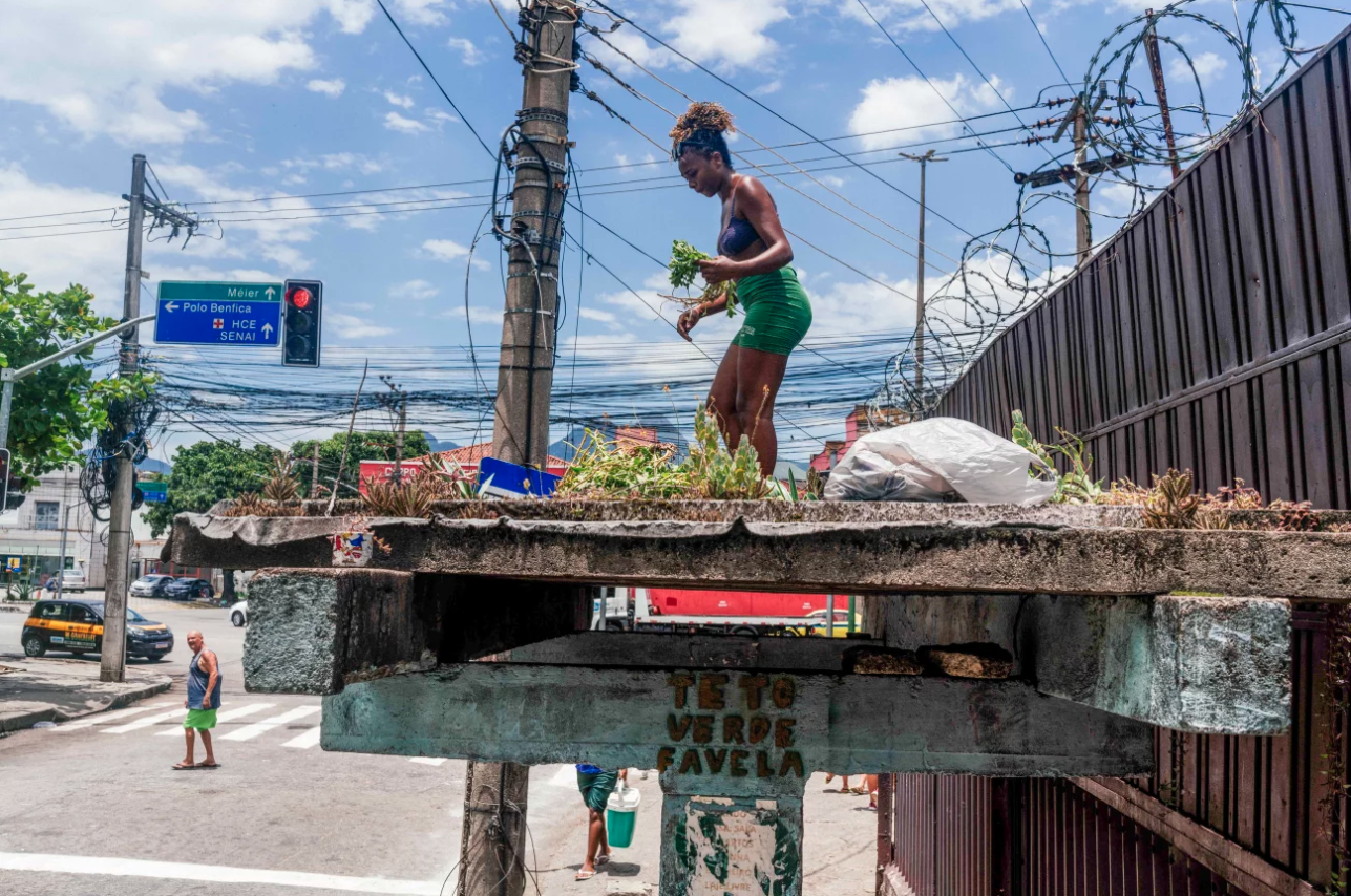 Jessica Tapre repairs a green roof in a bus stop in Benfica, Rio de Janeiro, Brazil. Ian Cheibub / NPR Jessica Tapre repairs a green roof in a bus stop in Benfica, Rio de Janeiro, Brazil. Ian Cheibub / NPR