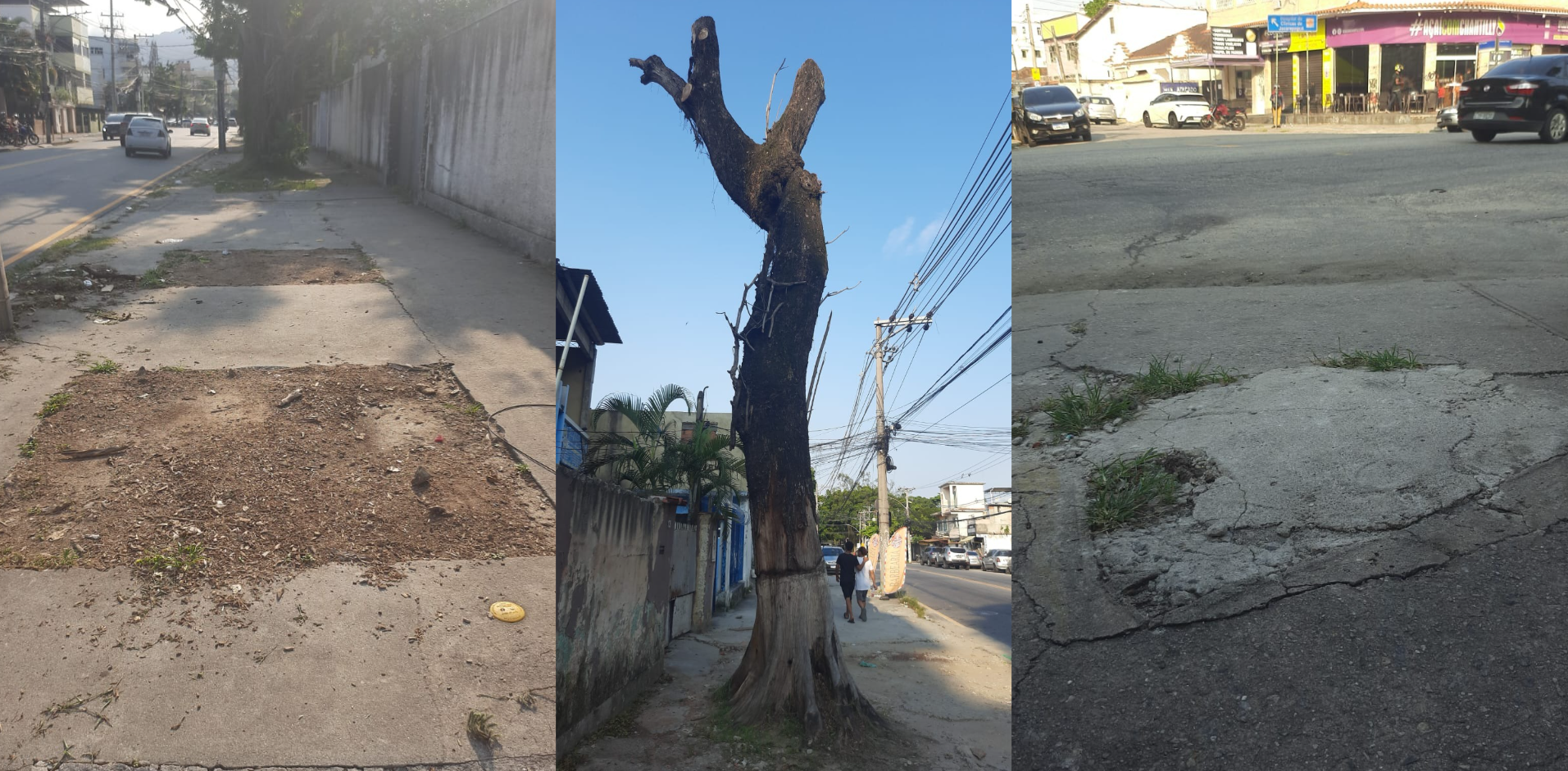 From left to right: tree removed from Avenida dos Mananciais, No. 748; poisoned trunk on the same avenue, at No. 128; and on Estrada do Tindiba, cemented soil where a tree once stood. Photos: Magnun Alves From left to right: tree removed from Avenida dos Mananciais, No. 748; poisoned trunk on the same avenue, at No. 128; and on Estrada do Tindiba, cemented soil where a tree once stood. Photos: Magnun Alves
