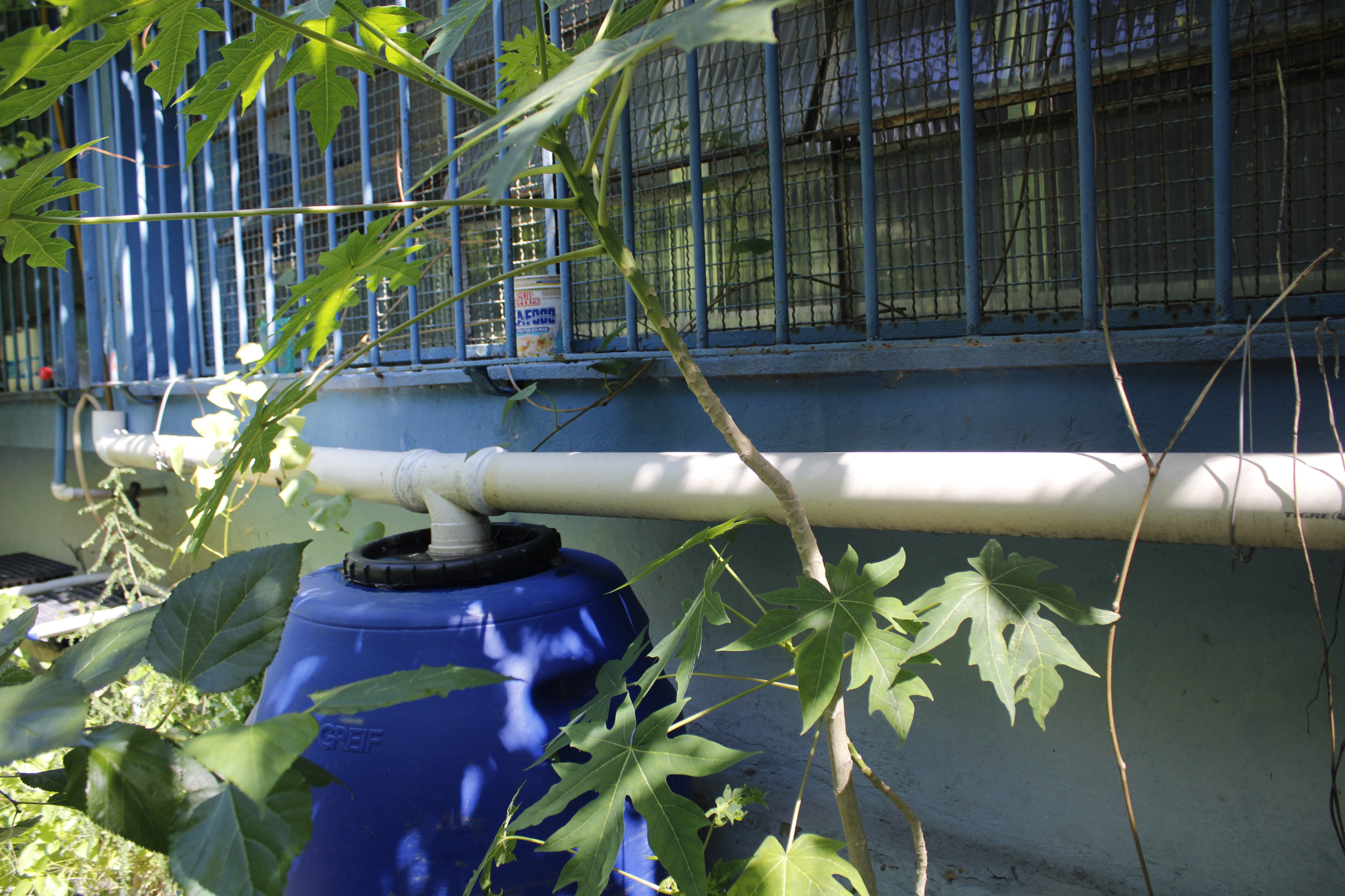 Part of the system that reuses water from the school’s air-conditioning units. The structure stores and distributes water to the space. Photo: Amanda Baroni Part of the system that reuses water from the school’s air-conditioning units. The structure stores and distributes water to the space. Photo: Amanda Baroni