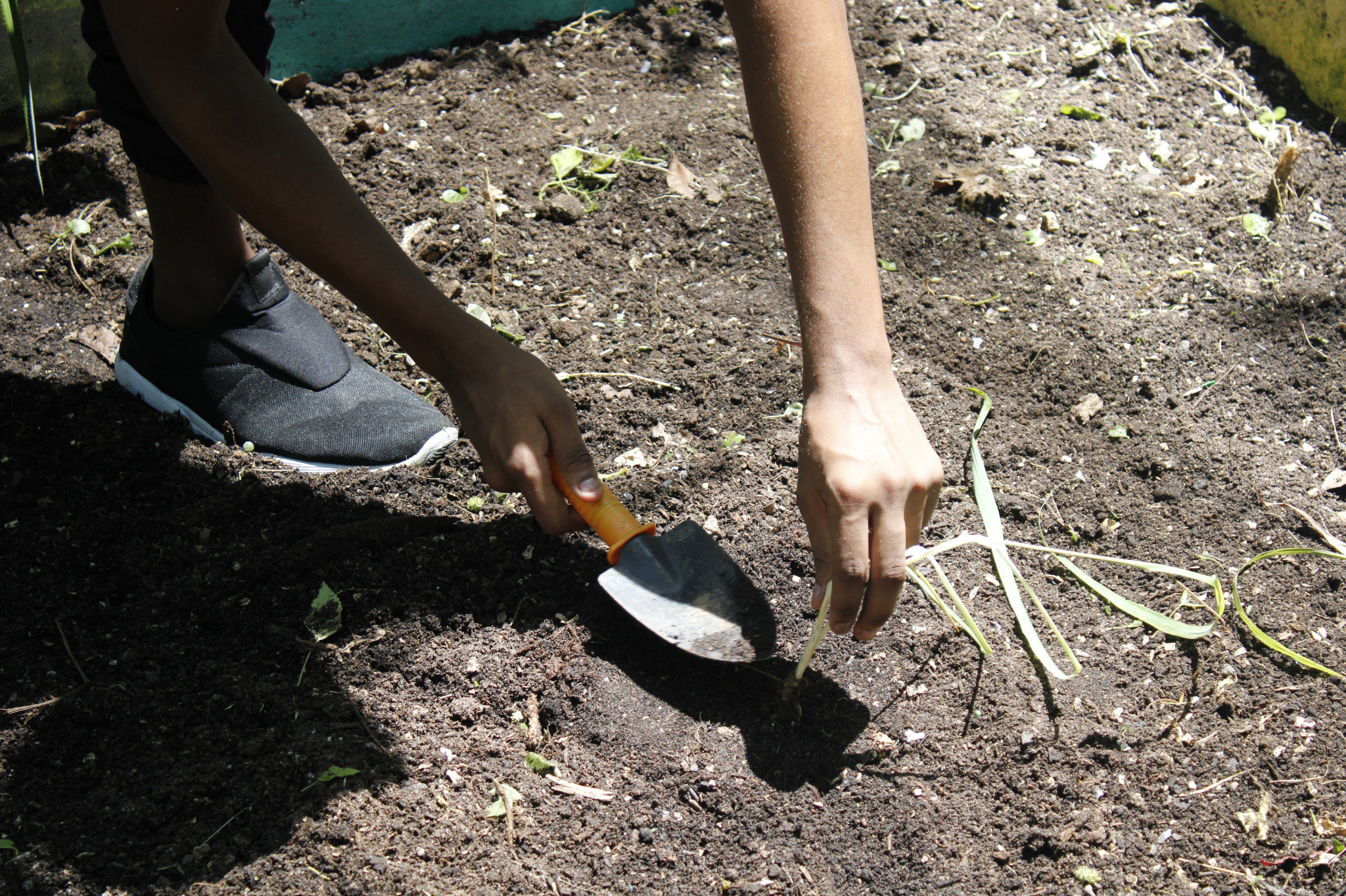 The garden addresses a series of themes, among them ancestral knowledge and its relationship with the environment. Photo: Amanda Baroni The garden addresses a series of themes, among them ancestral knowledge and its relationship with the environment. Photo: Amanda Baroni