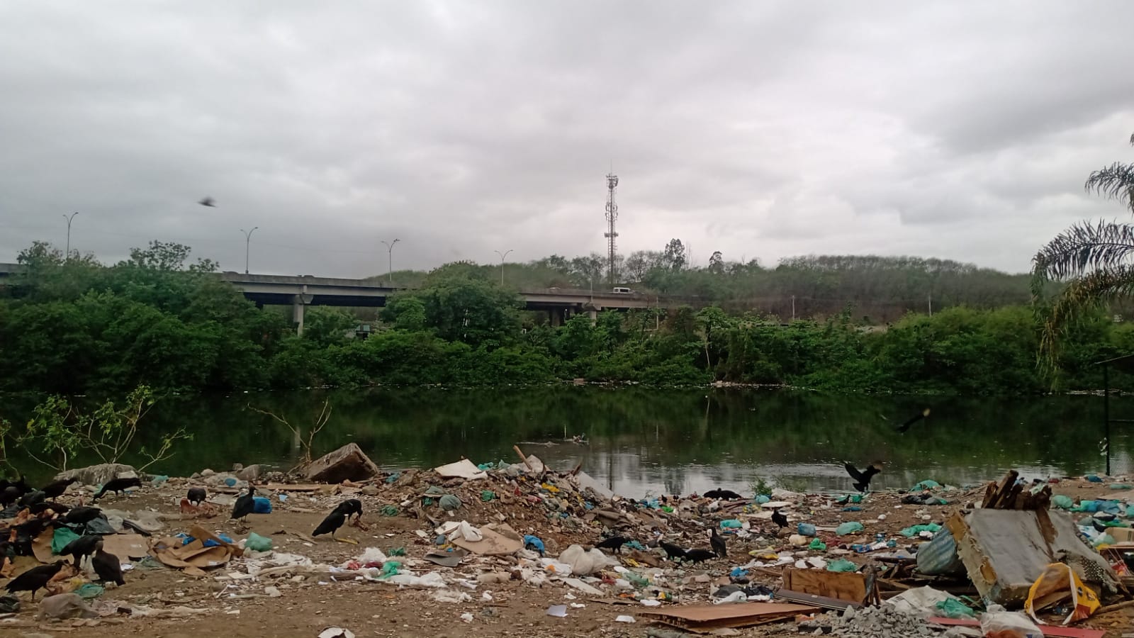 Cunha Canal near the Salsa e Merengue favela at the end of 2025. This narrow Guanabara Bay waterway separates the Maré and Caju groups of favelas from Ilha do Fundão. Photo: Amanda Baroni Cunha Canal near the Salsa e Merengue favela at the end of 2025. This narrow Guanabara Bay waterway separates the Maré and Caju groups of favelas from Ilha do Fundão. Photo: Amanda Baroni