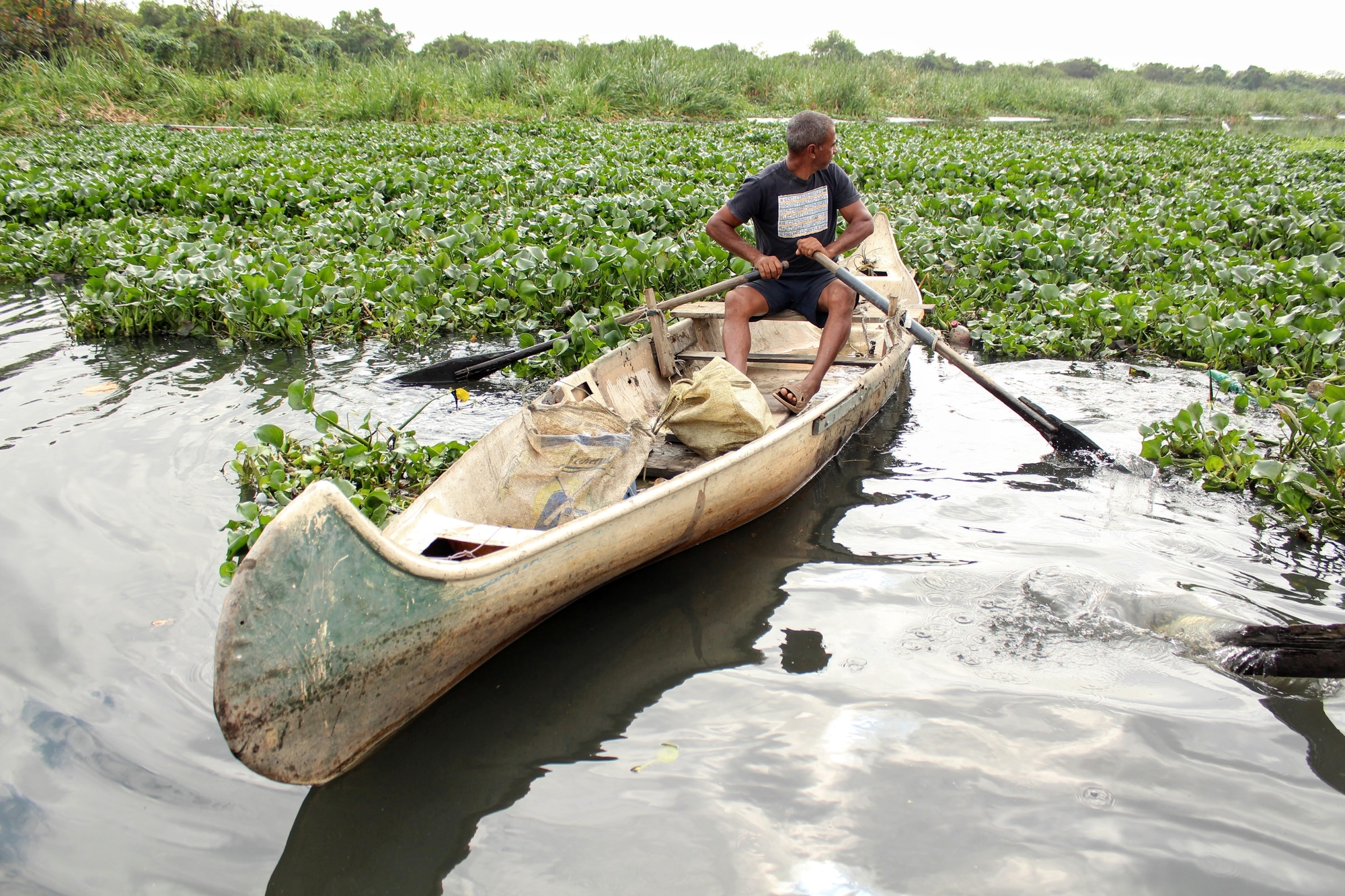 Raimundo looks at the cluster of water hyacinths, which thrive due to the high concentration of sewage in the water, that he must navigate through to cross the eco-barrier and be able to work. Photo: Sophia Zaia Raimundo looks at the cluster of water hyacinths, which thrive due to the high concentration of sewage in the water, that he must navigate through to cross the eco-barrier and be able to work. Photo: Sophia Zaia