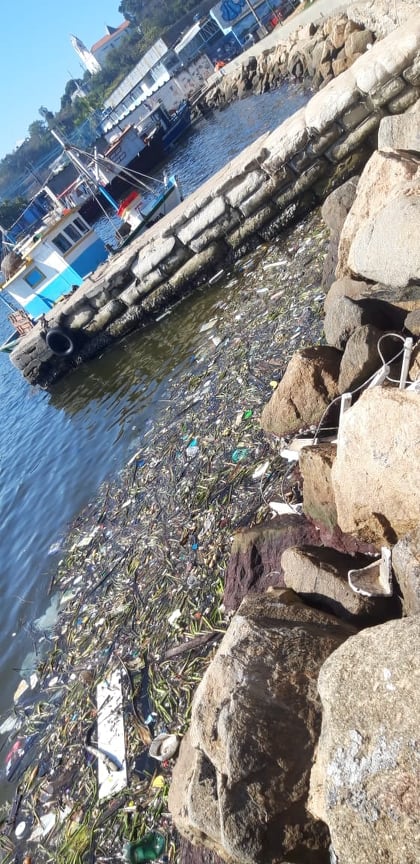 Polluted waters of Guanabara Bay along the shoreline of Praça do Zumbi, on Ilha do Governador in Rio's North Zone, in 2020. Photo: Julio Santos Filho Polluted waters of Guanabara Bay along the shoreline of Praça do Zumbi, on Ilha do Governador in Rio's North Zone, in 2020. Photo: Julio Santos Filho