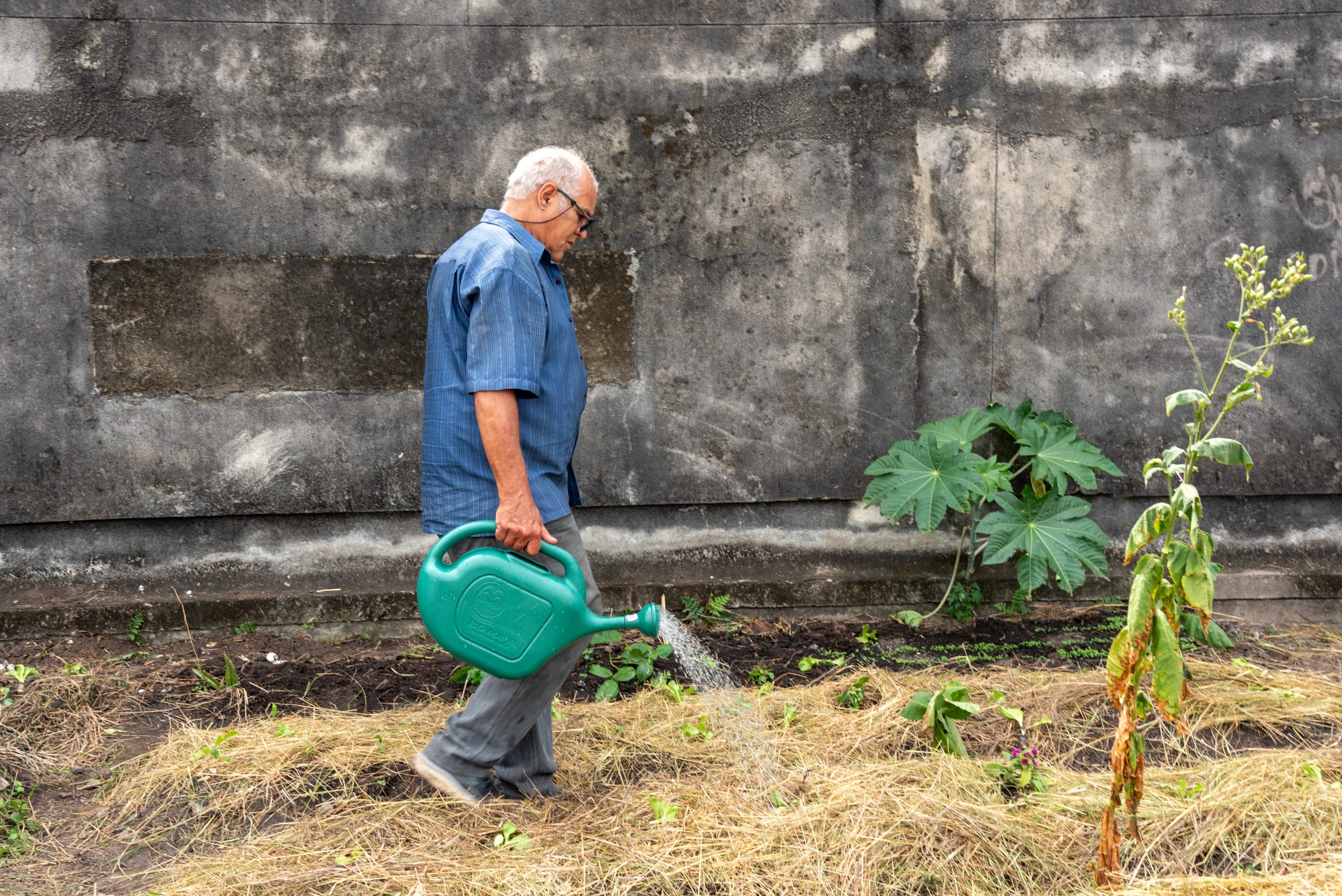 José Franklin da Silveira, a cordelista (a storyteller in the Brazilian folk literary form known as cordel), Complexo do Alemão resident and member of the Alemão Environmental Commission, waters the garden beds revitalized during the collective action at the João Bosco Community Garden. Photo: Bárbara Dias José Franklin da Silveira, a cordelista (a storyteller in the Brazilian folk literary form known as cordel), Complexo do Alemão resident and member of the Alemão Environmental Commission, waters the garden beds revitalized during the collective action at the João Bosco Community Garden. Photo: Bárbara Dias
