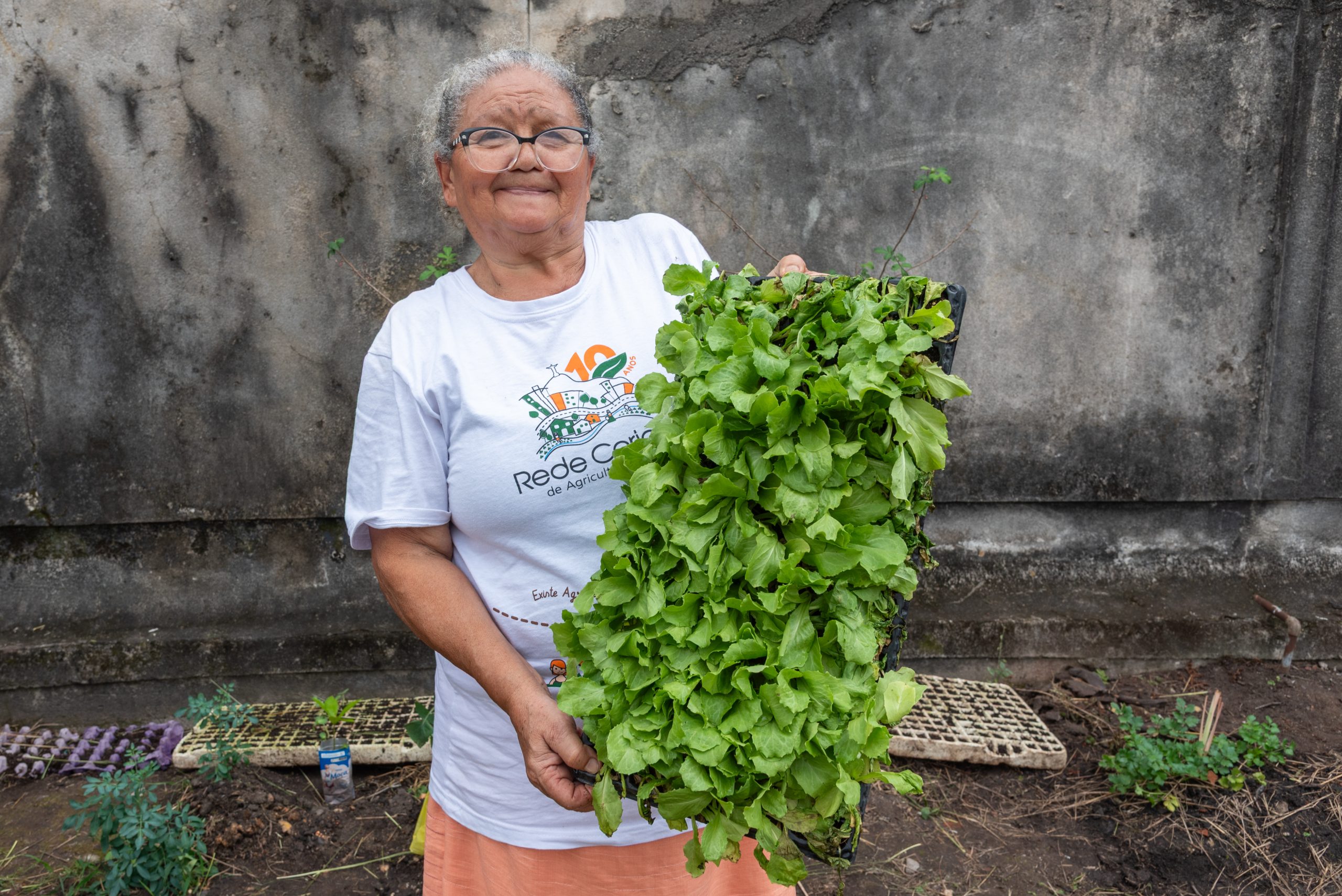 Dona Josefa, environmental educator and agroecological farmer from Complexo do Alemão, holds a seed tray with lettuce seedlings. Photo: Bárbara Dias Dona Josefa, environmental educator and agroecological farmer from Complexo do Alemão, holds a seed tray with lettuce seedlings. Photo: Bárbara Dias