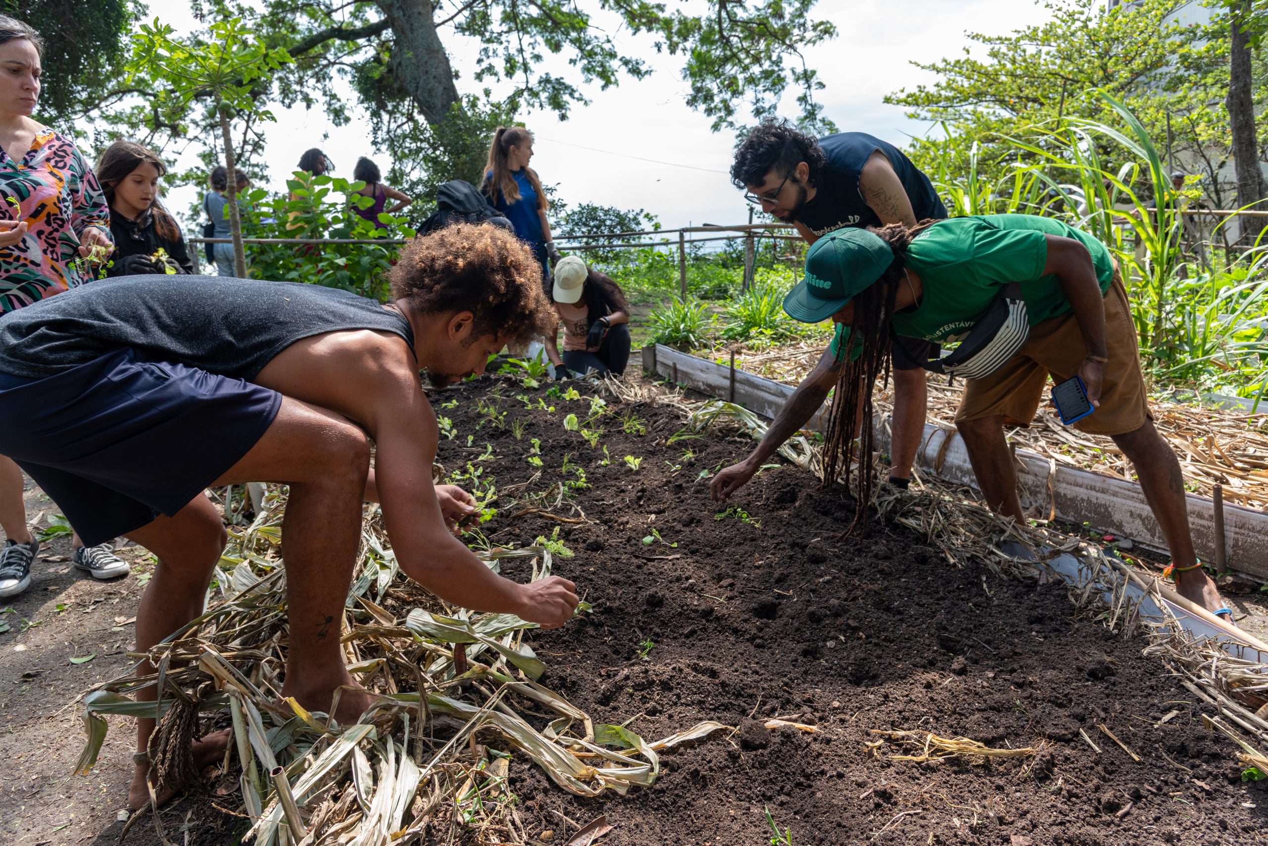 Participants in the collective action help plant leafy vegetables in one of the beds at the Prazeres Community Garden. Photo: Bárbara Dias Participants in the collective action help plant leafy vegetables in one of the beds at the Prazeres Community Garden. Photo: Bárbara Dias